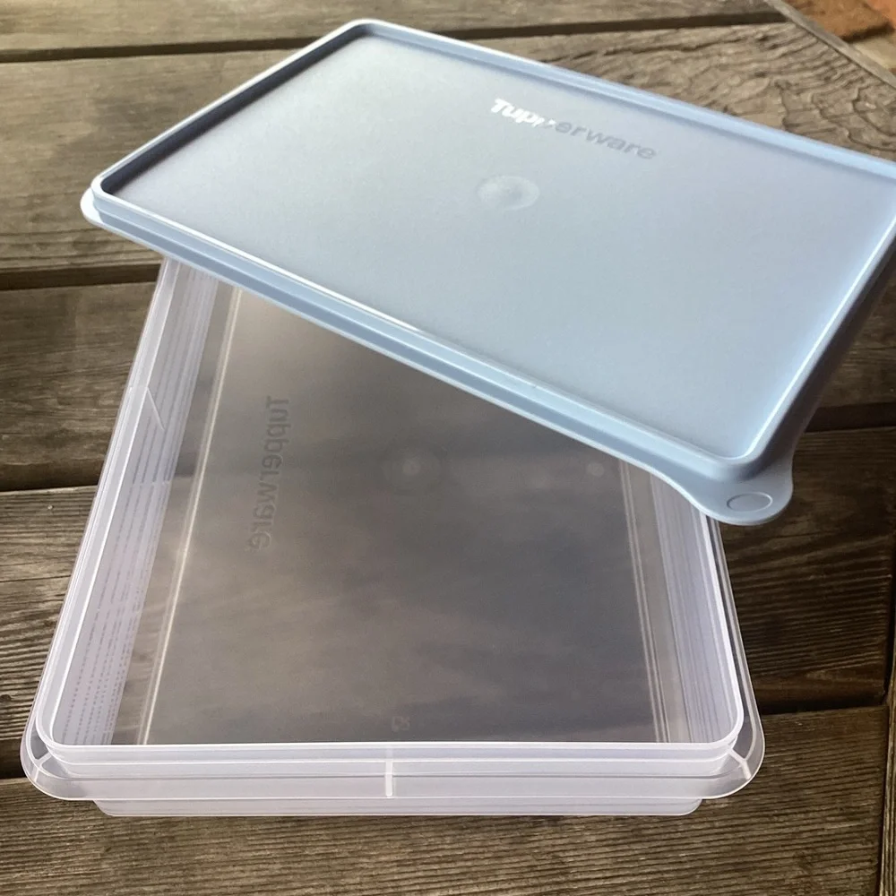 Tupperware Snack-Stor Large Container in Ice Cube color